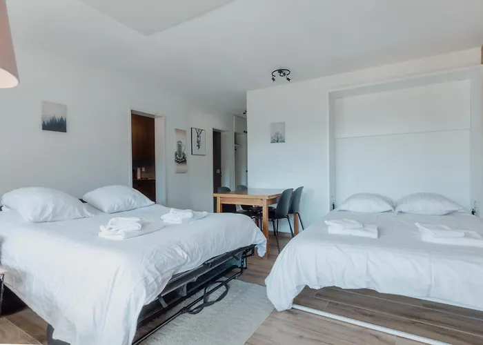 Apartman Avec Vue Majestueuse Sur Les Montagnes